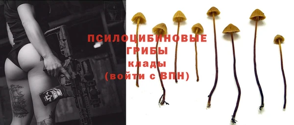 МДПВ Киренск