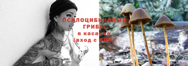МДПВ Киренск